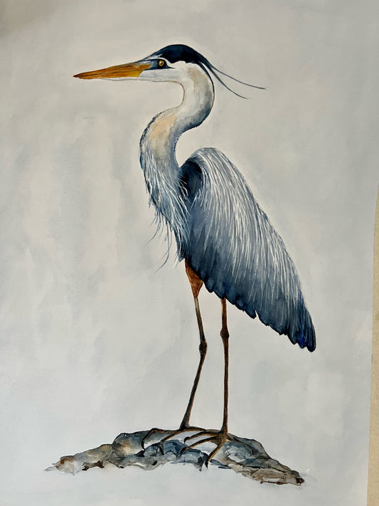 Original Watercolor, "Heron on the Rocks"