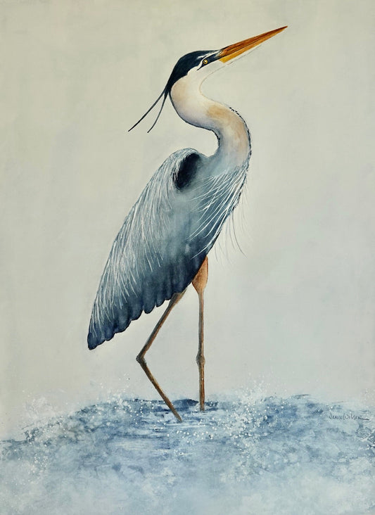 Original Watercolor "Wading Heron"