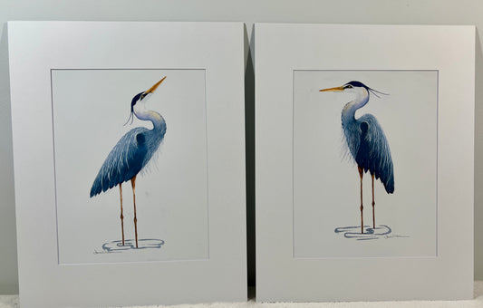 Giclee Print of Twin Blue Facing Herons