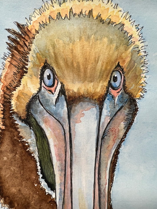 Original Watercolor of Brown Pelican "Pelle Pelican" 8 X 10"