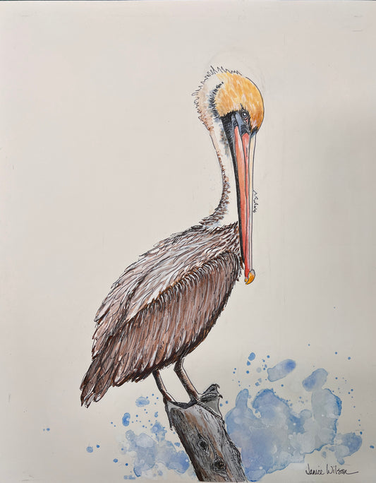 Original Watercolor of Brown Pelican 11 X 14"  Perry Pelican